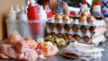 La Salmonella es una bacteria que puede causar una enfermedad. Puede hallarse en varios alimentos,&nbsp;como en las carnes de pollo, res, cerdo, en huevos, frutas, vegetales, y hasta en los alimentos procesados