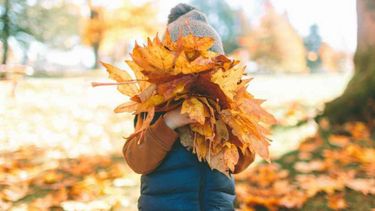 Pronóstico del SMN sobre los próximos meses/otoño