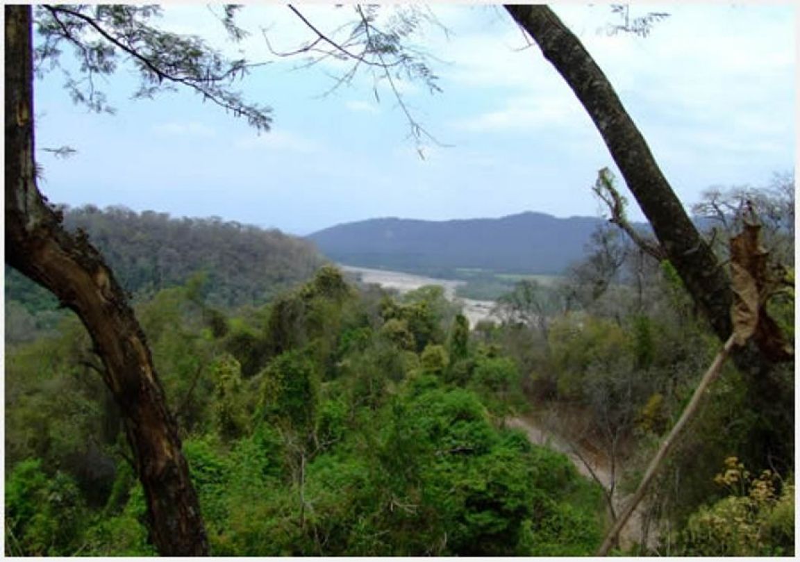 Parque Calilegua