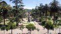 Nuevas palmeras en la Plaza Belgrano