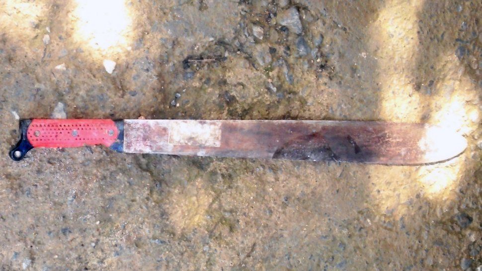 Imagen ilustrativa Imagen ilustrativa