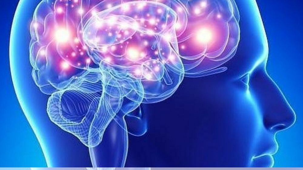 Cerebro