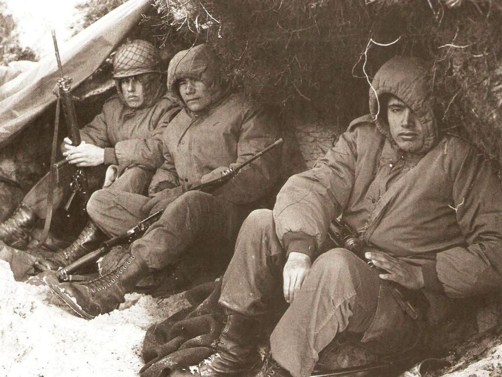 Combatientes de Malvinas