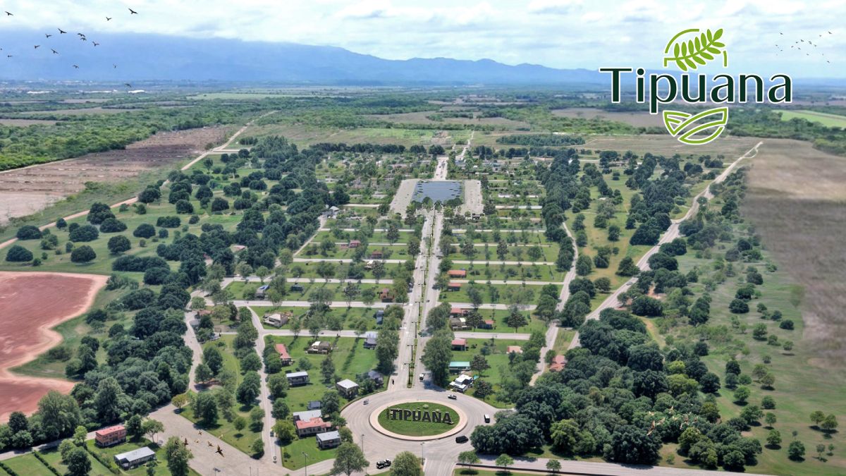 Tipuana, unaoportunidad única para invertir en el futuro: 100% financiado!