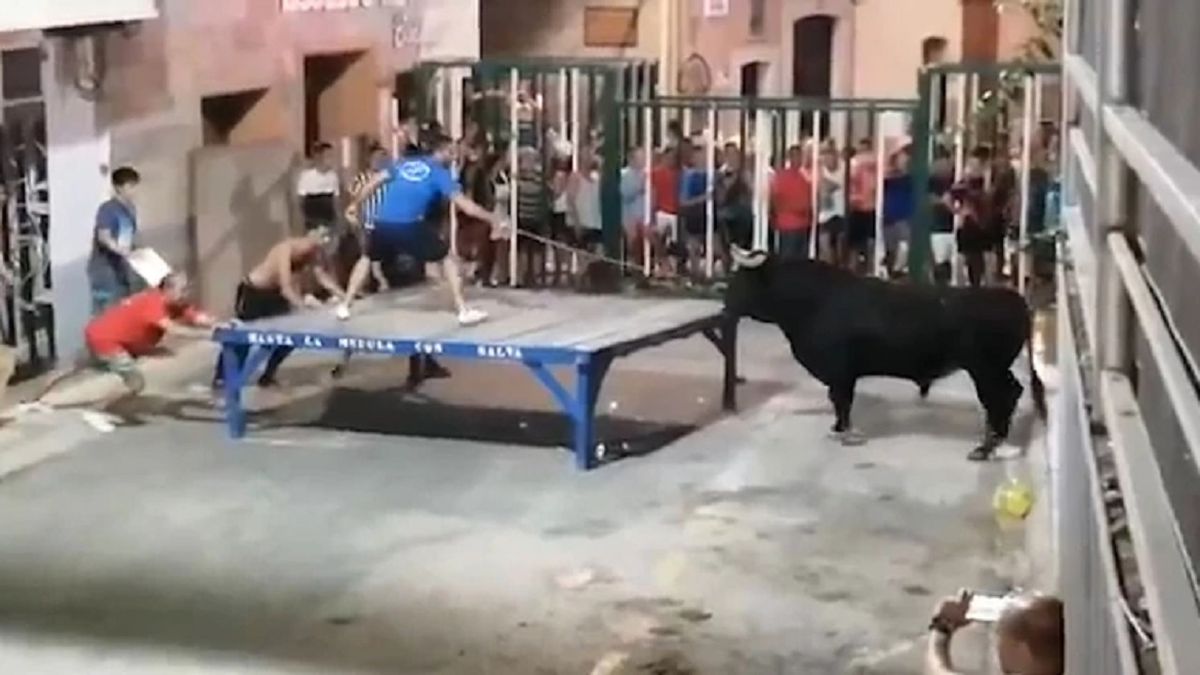 Filman la feroz embestida de un toro a un turista francés durante un  festival