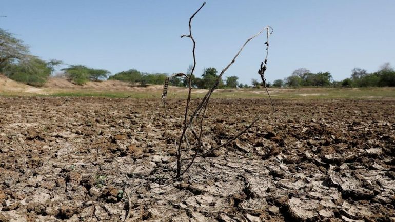 Efectos del cambio climático en el mundo Efectos del cambio climático en el mundo