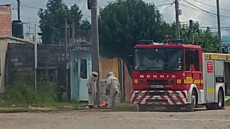 Un enjambre de abejas atacó a varias personas en Palpalá