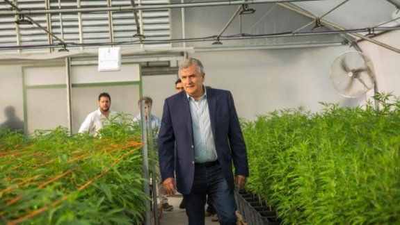 Gerardo Morales: Iremos a la producción a gran escala