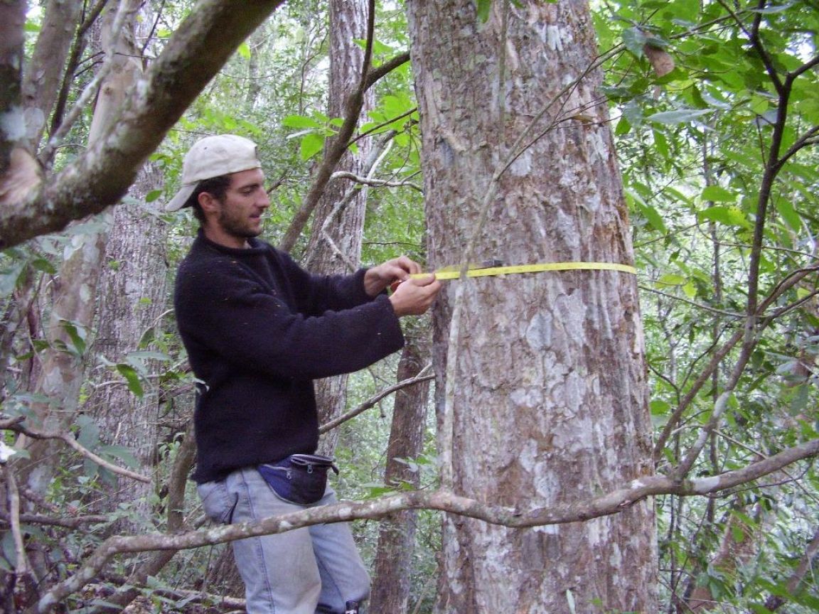 Bosque Nativo