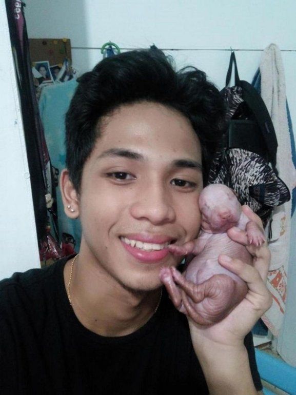 perro pene2.jpg