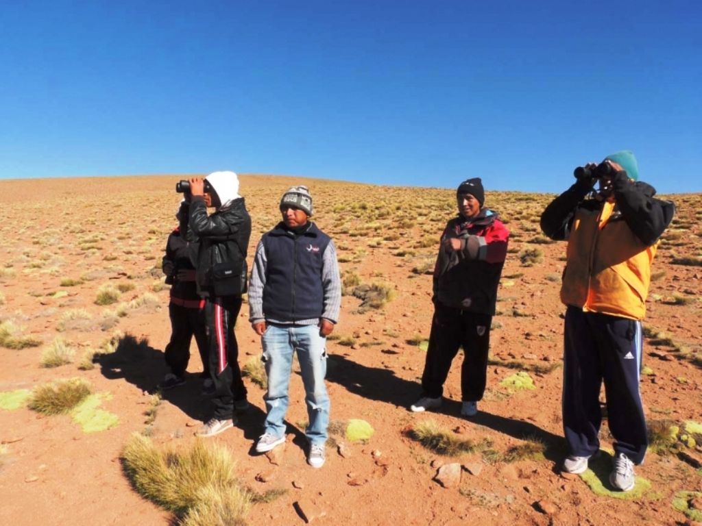 Productores y cuidadores de vicuñas