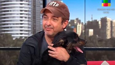 Ricardo Darín se encontró un perro en la calle al cual casi atropellan, y lo llevó a la televisión para buscarle un hogar.