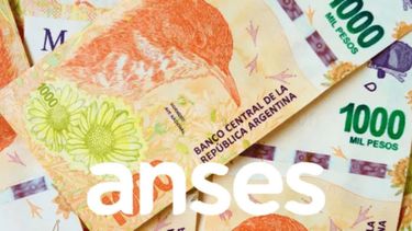 Miles de jubilados cobrarán un adicional por el aumento del SMVM