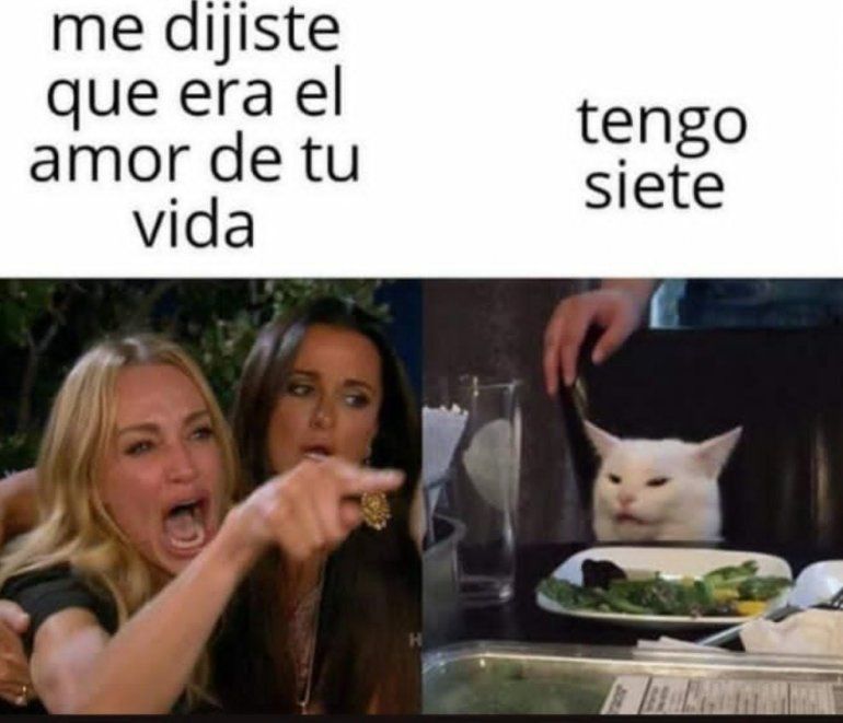 Los-mejores-memes-del-gato_001.jpg