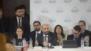 Ley Bases: se pospone la firma del dictamen en el Senado.&nbsp;