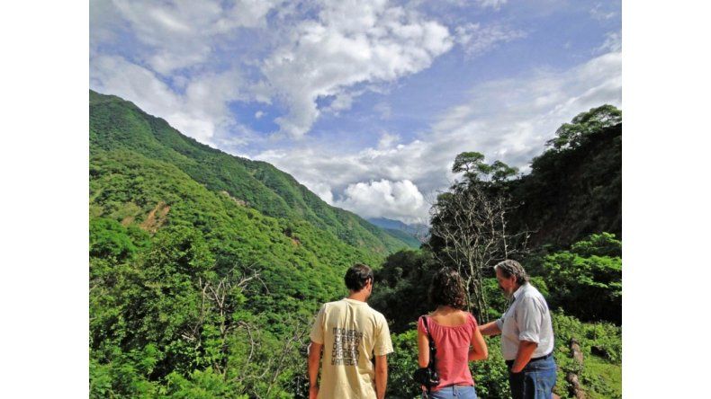 Las Yungas