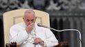 el papa francisco se lamento por el incendio de notre dame y pidio la movilizacion de todos