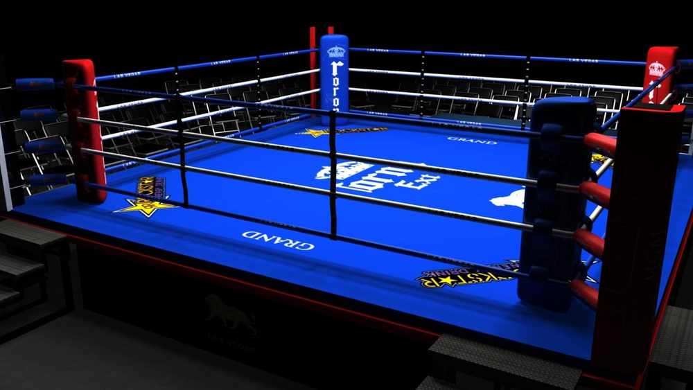 El boxeo jujeño intervenido
