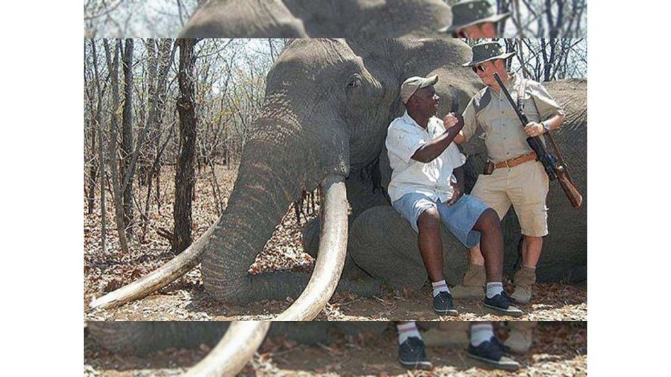 Alemán posa junto al elefante cazado