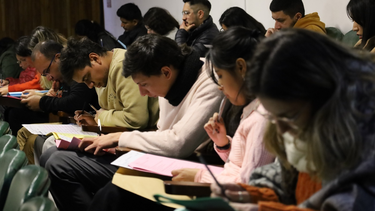 Residencias en salud. Residencias en salud.