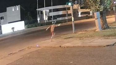 Rosario: balearon la sede de la Televisión Litoral y dejaron un escalofriante mensaje.&nbsp;