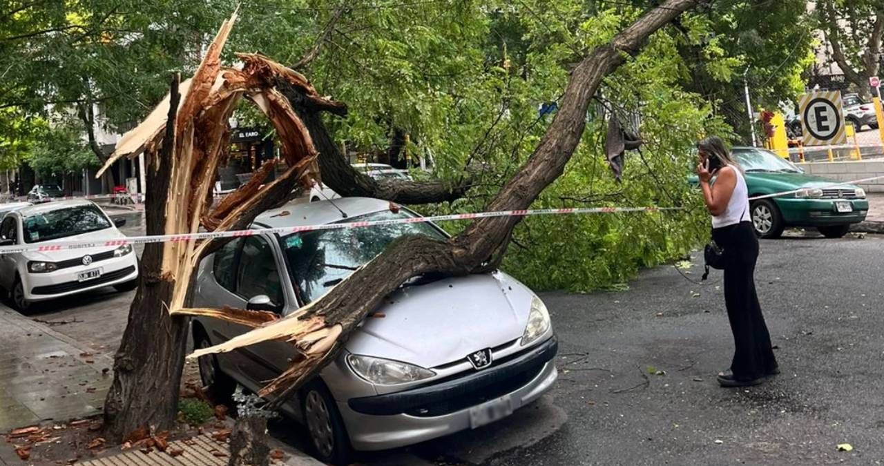 destrozos en distintos barrios de mar del plata tras el viento: las impactantes imagenes