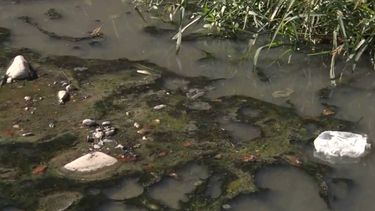 Malvinas una de las zonas con más casos de dengue de San Salvador de Jujuy