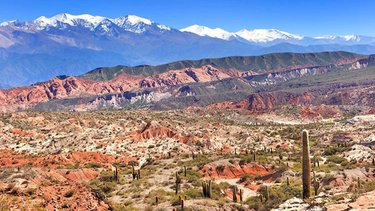 El Parque Nacional Los Cardones para escapadas en Salta.