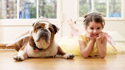 Todo Jujuy | Mascotas: cuáles son las mejores razas para niños según la Inteligencia Artificial