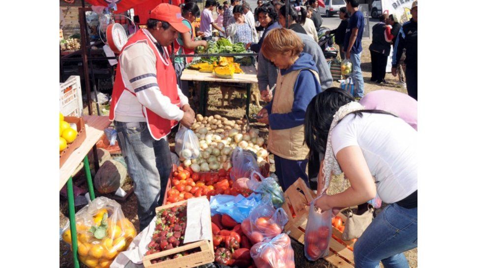 Frutas y verduras