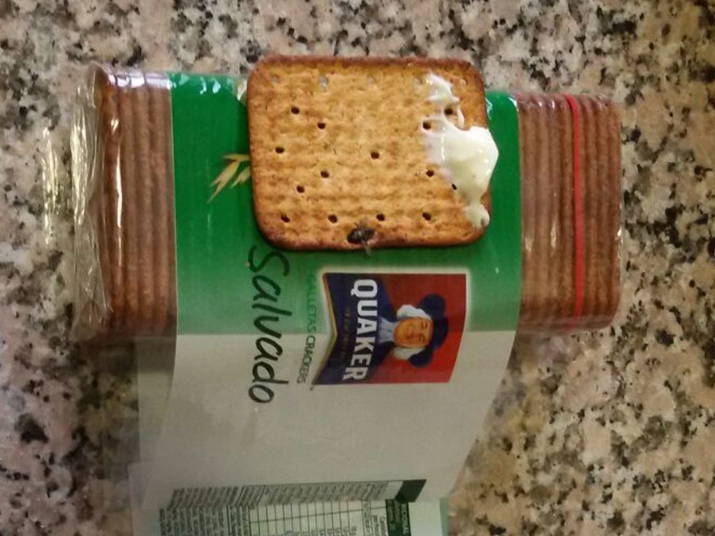 Mosca en la galleta