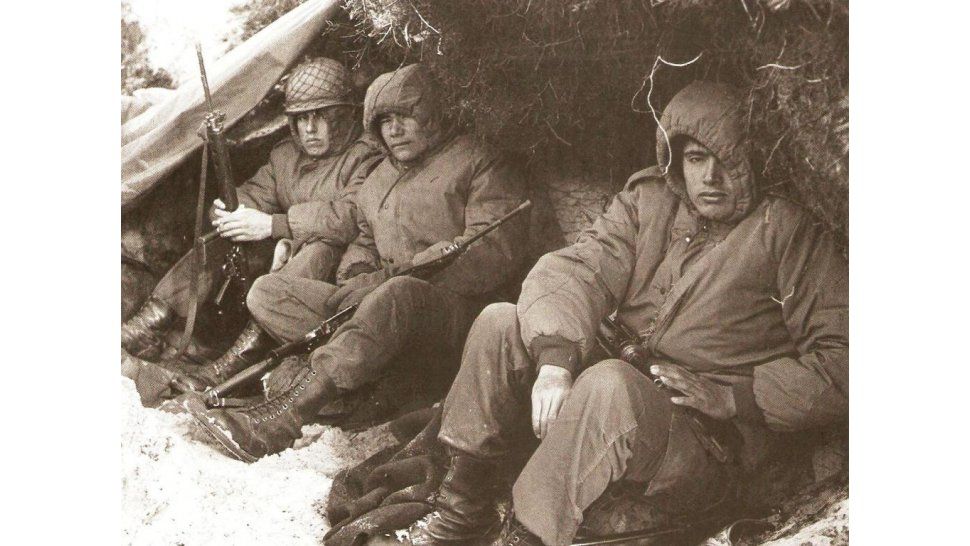 Combatientes de Malvinas