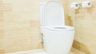 Es fundamental mantener una buena limpieza en los baños del hogar por la cantidad de bacterias que se pueden juntar allí.
