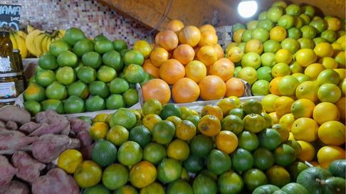 Todo Jujuy | mandarina.jpg