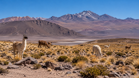 Todo Jujuy | 3df34c83-a4f2-4048-ad96-b158915e1fad
