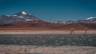 Reserva provincial Laguna Brava. Reserva provincial Laguna Brava.