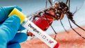 M&aacute;s casos de dengue en Jujuy