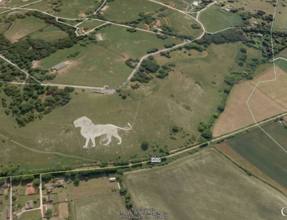 El rey león