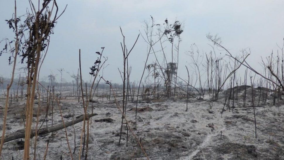 El incendio forestal no cesa en el Parque Nacional Calilegua y en otros lugares de la provincia.&nbsp;