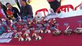 Feria de Santa Anita&nbsp;