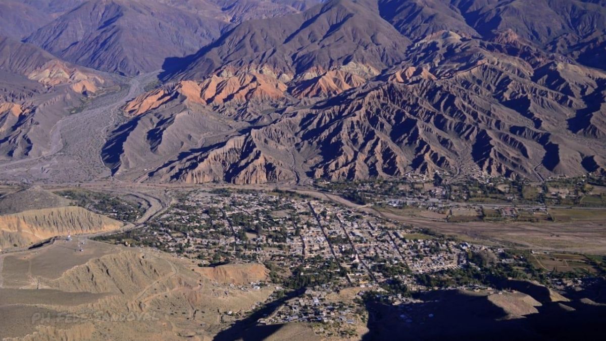 Humahuaca: perros atacaron y mataron a 4 cabras