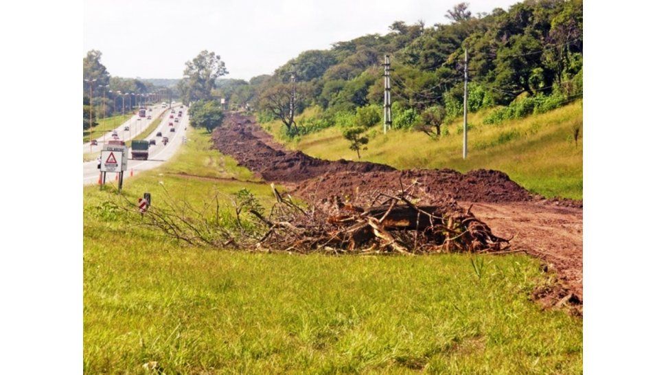 Acciones en ruta 66