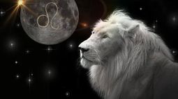 Luna creciente en Leo: cómo afecta a cada signo del zodíaco.&nbsp;