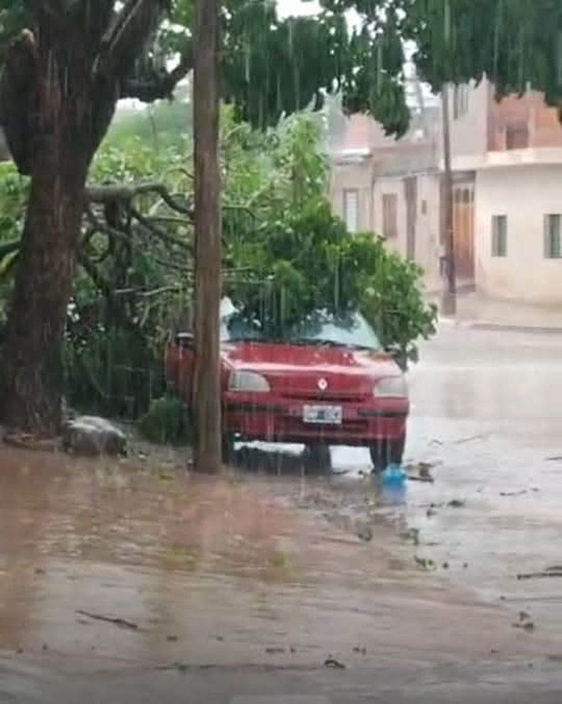 Fuerte temporal azotó sectores de Jujuy granizo, ráfagas y daños en Alto Comedero y Los Alisos (2)