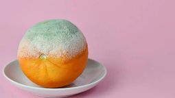 El error común al encontrar moho en la fruta de la heladera. &nbsp;