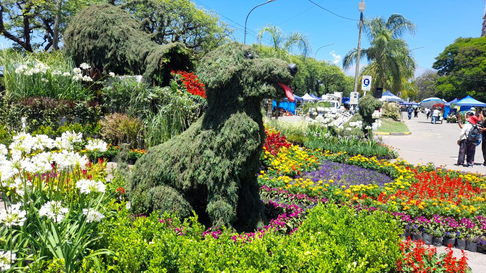 Todo Jujuy | Perritos en Jujuy Florece.