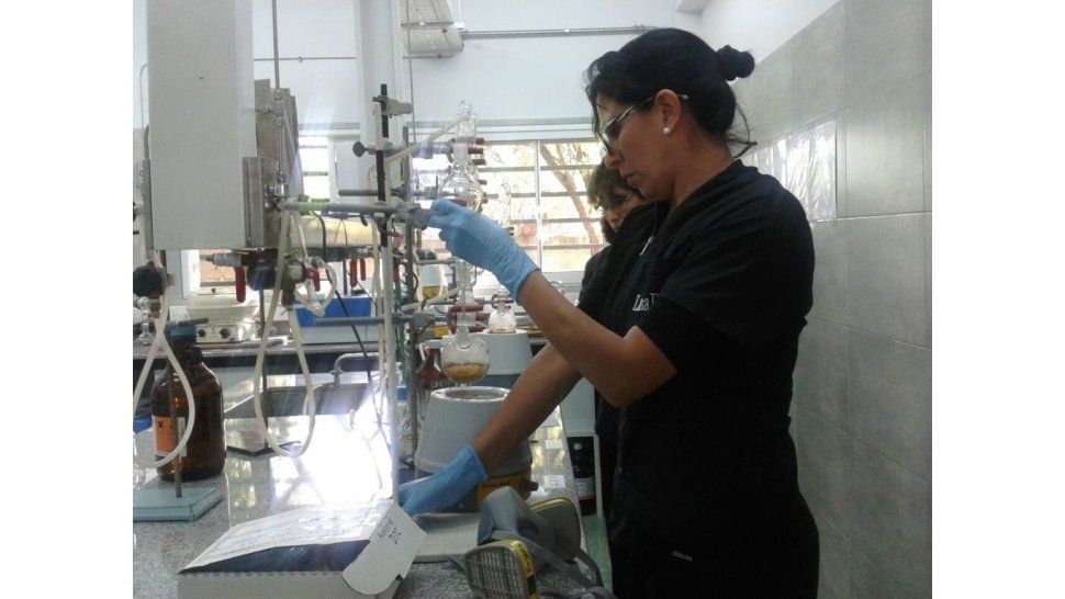 Laboratorio