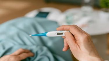 La principal forma de prevenir la enfermedad es evitar la picadura del mosquito.