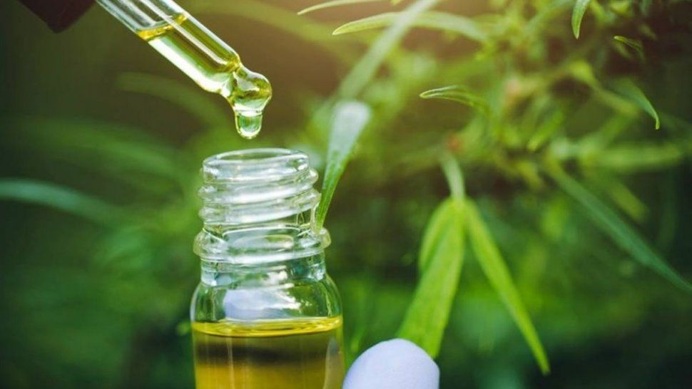 Se realizó el primer Curso Nacional de Cannabis