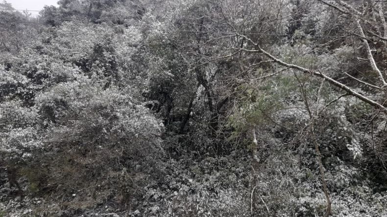 Las mejores fotos de la primera nevada en Jujuy: Los Nogales y Yala